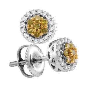 10K White Gold Round Yellow Color Enhanced Diamond Cluster Earrings 1/4 Cttw