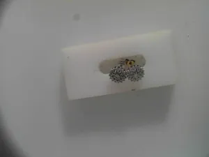 14k earrrings & diamond