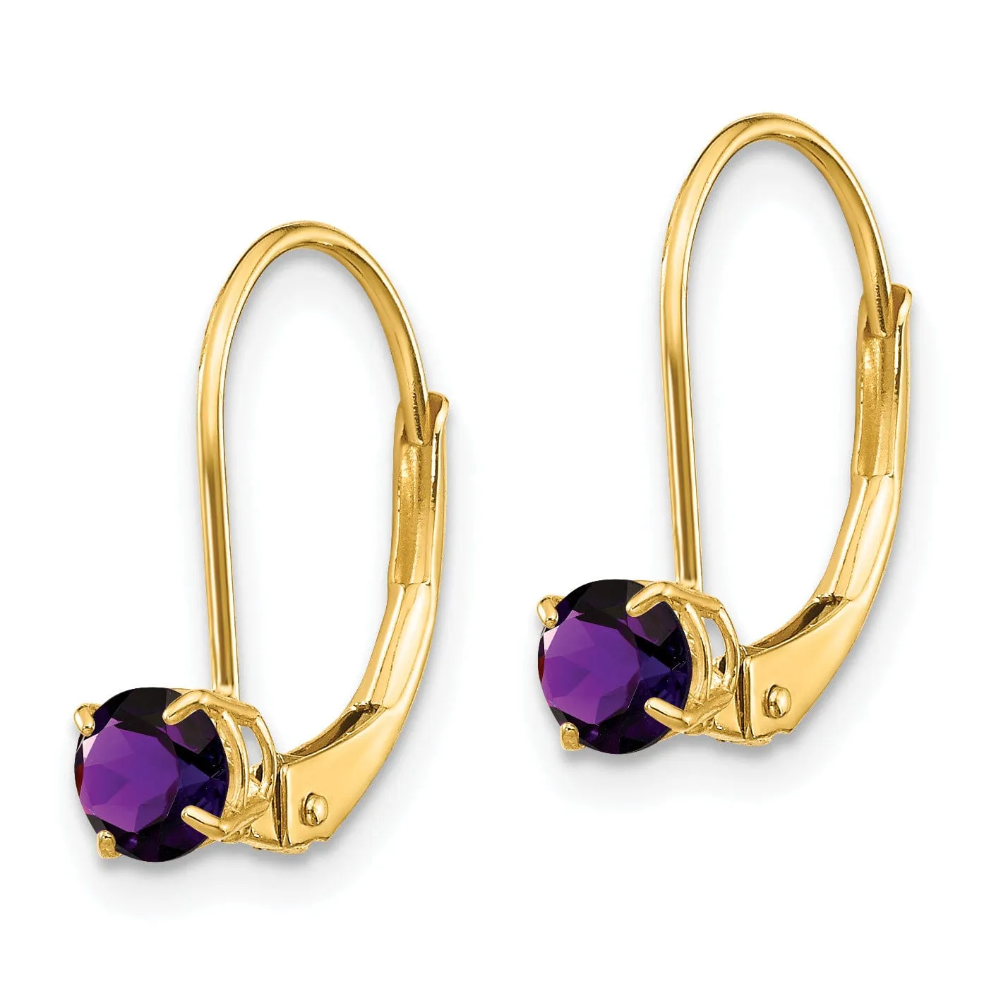 14k Yellow Gold Amethyst Birthstone Earrings