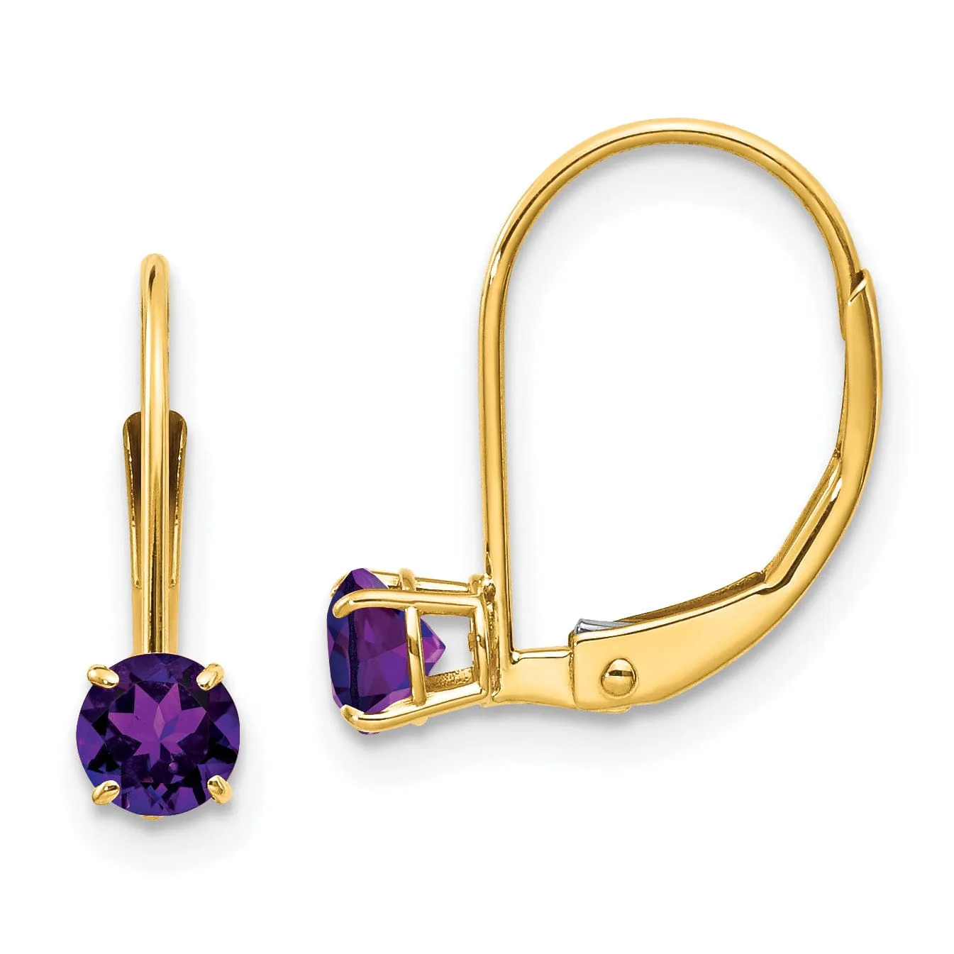 14k Yellow Gold Amethyst Birthstone Earrings