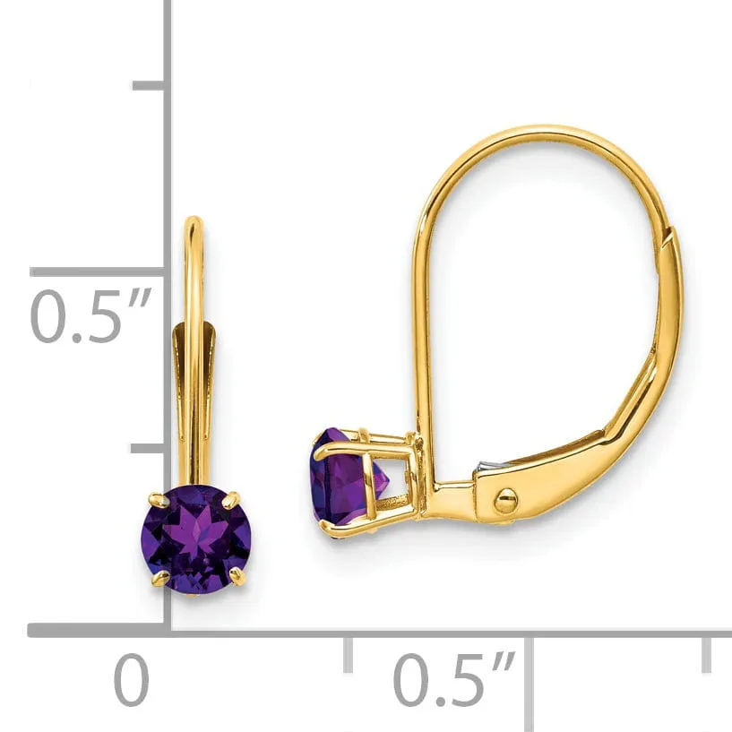 14k Yellow Gold Amethyst Birthstone Earrings