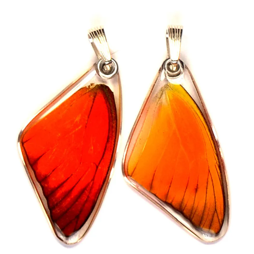 Butterfly wing pendant ONLY, Orange Albatross, top wing