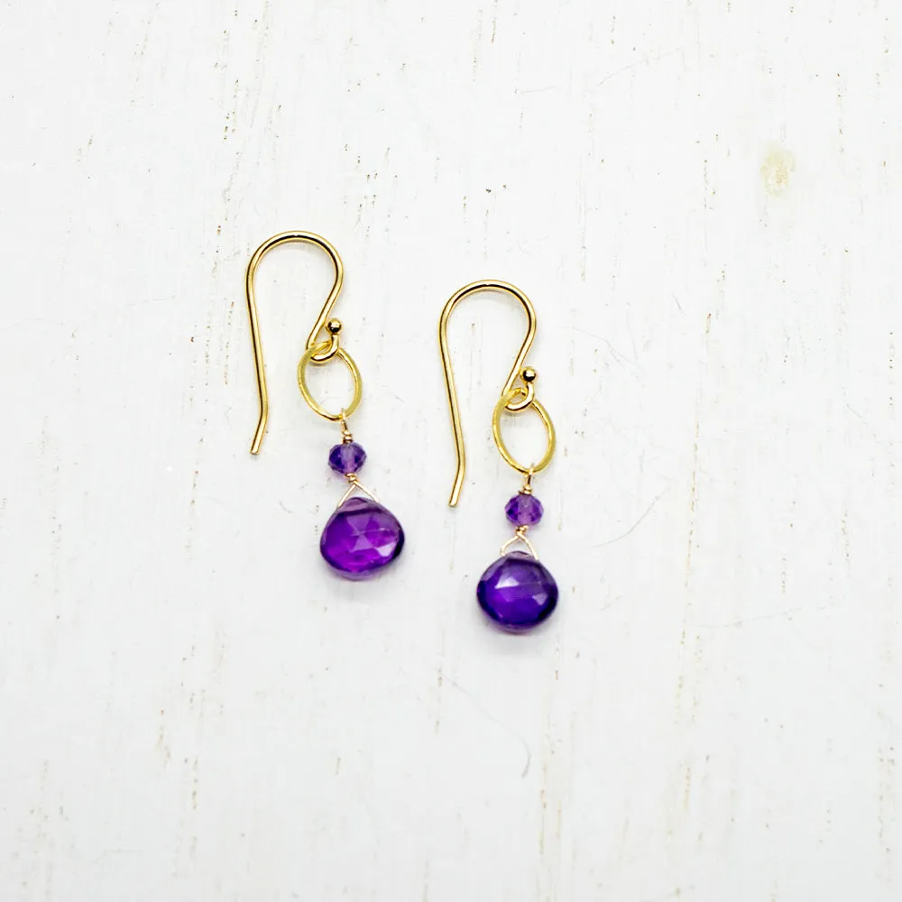 February Birthstone Gold Earrings