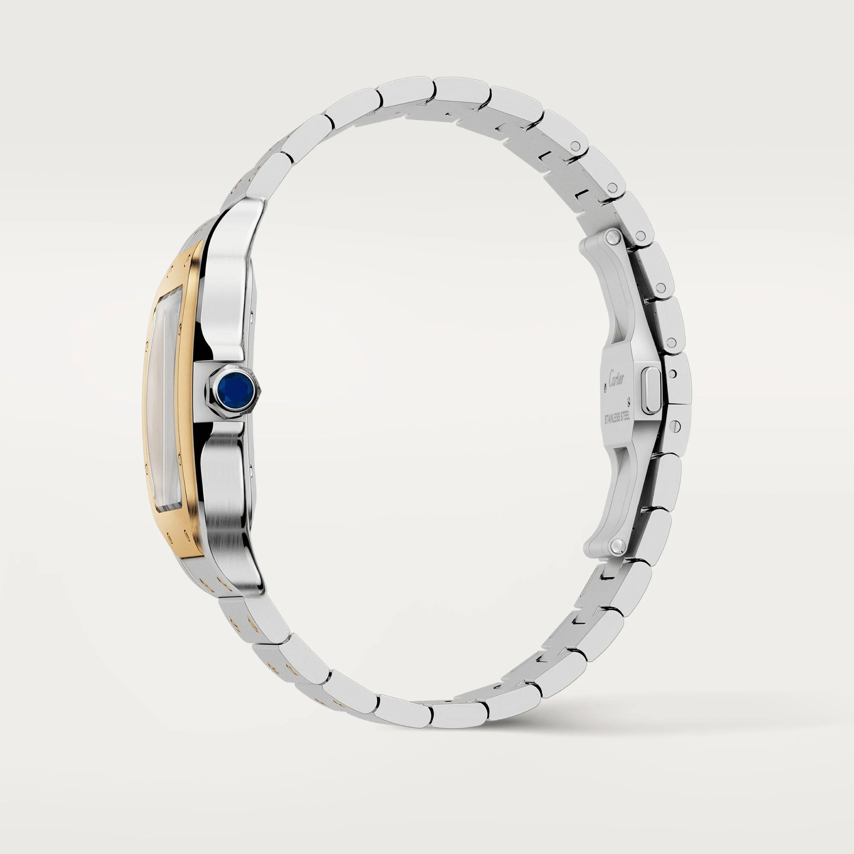 Santos de Cartier watch CRW2SA0009