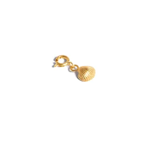 Shell Charm