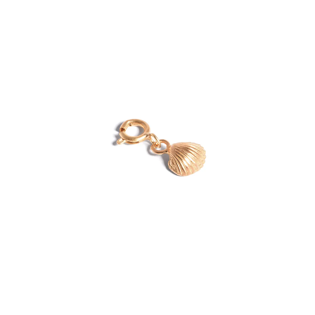Shell Charm