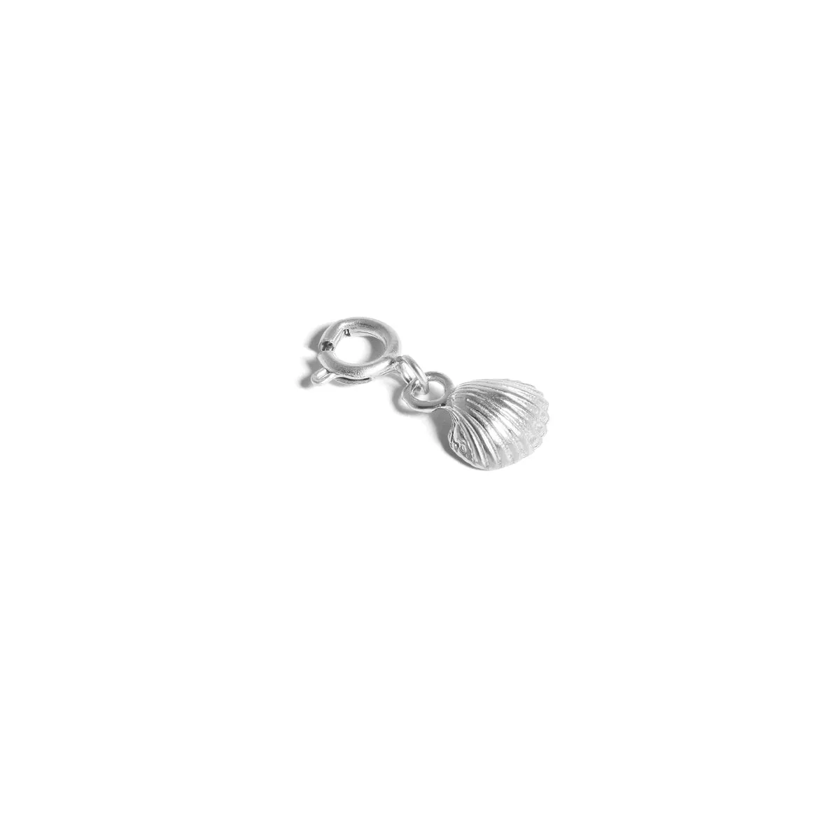 Shell Charm