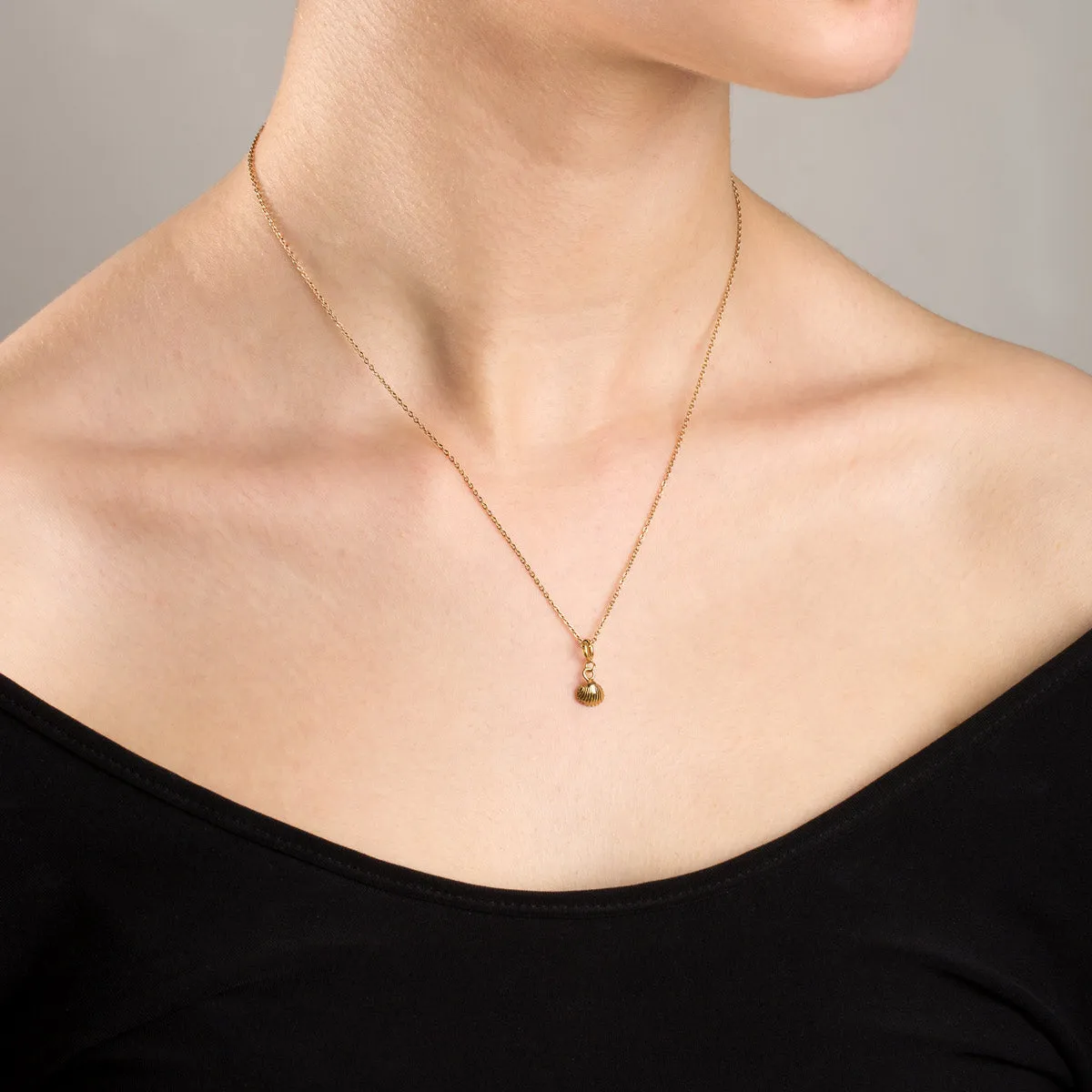 Shell Charm