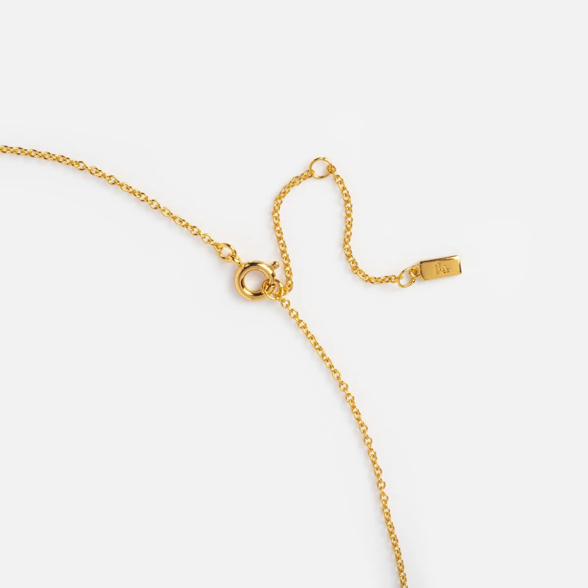 The Fierce Necklace