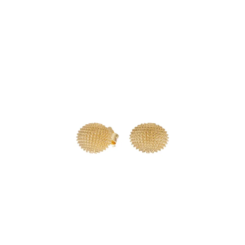 The Maje Earrings with Amethyst